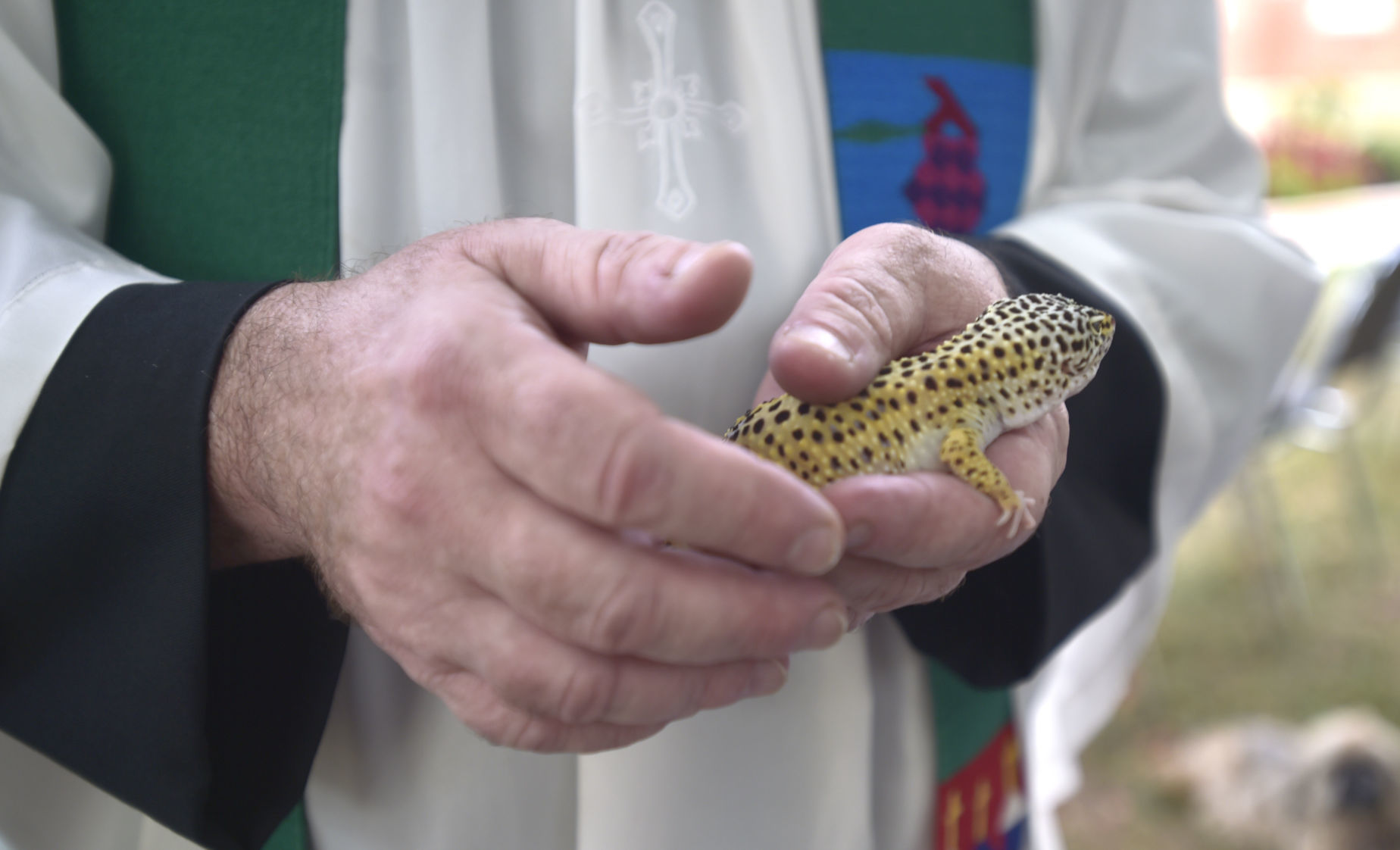 Blessing of the Animals 03